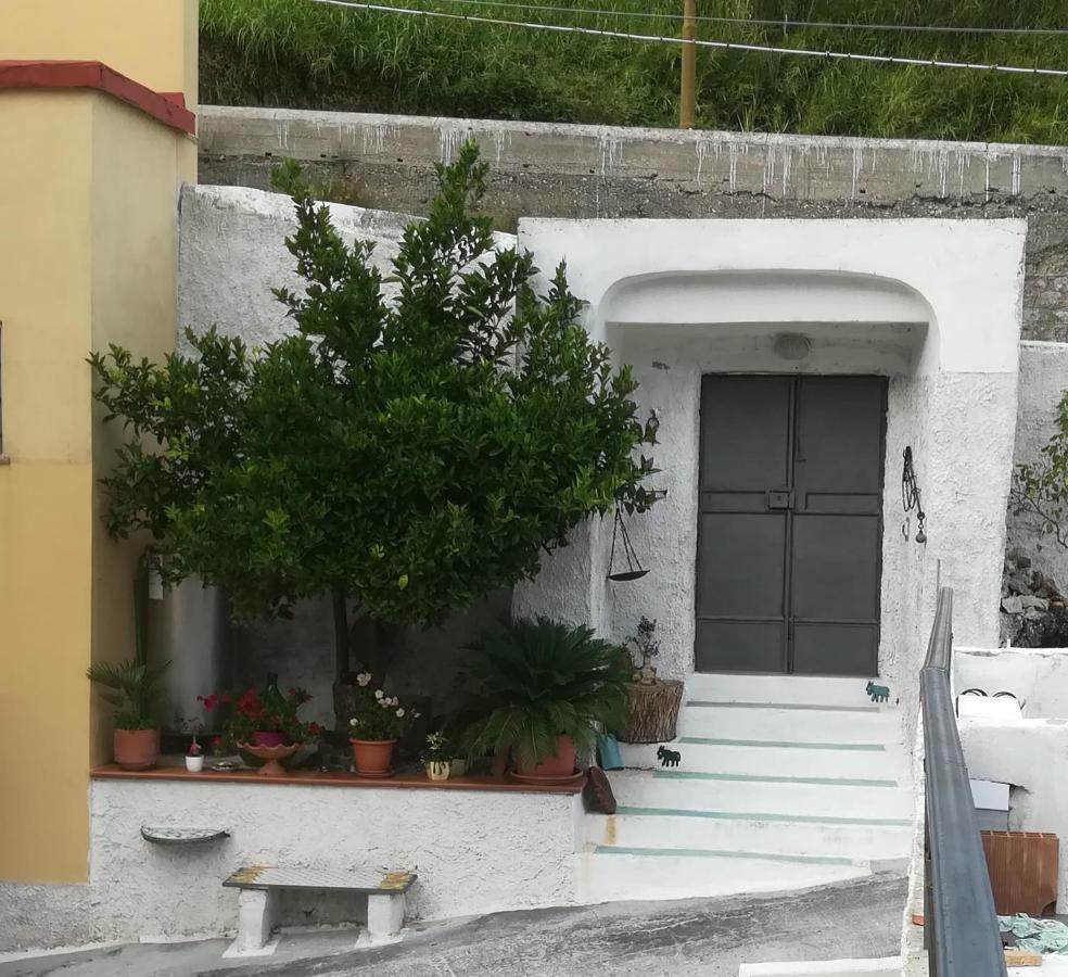 مبيت وإفطار Vietri Il Covo Delle Civette المظهر الخارجي الصورة
